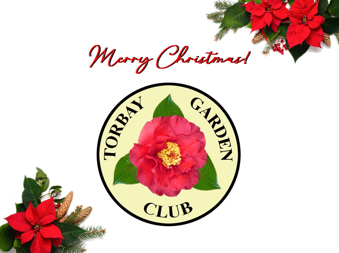 Xmas23Gallery